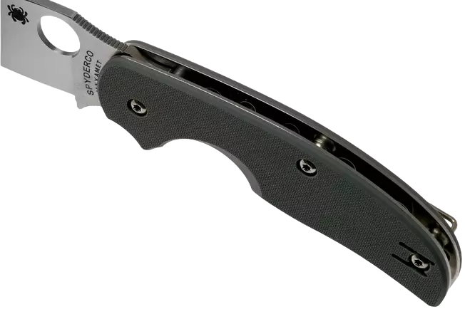 Ніж для щоденного використання Spyderco Sage 1