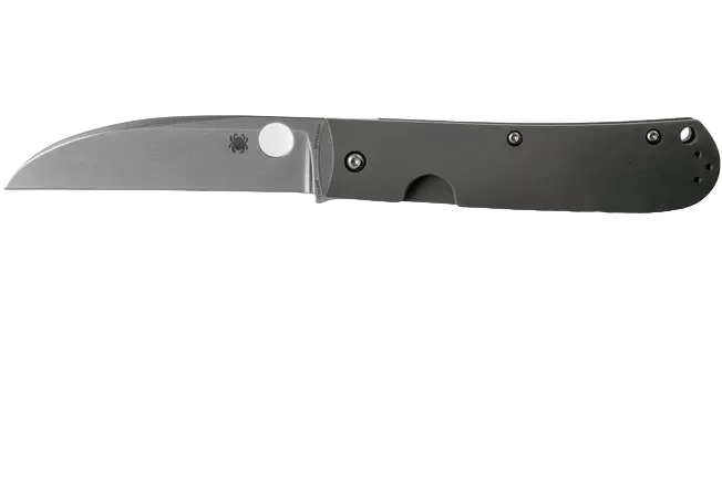 Spyderco SwayBack з титановим руків'ям та лезом CTS XHP